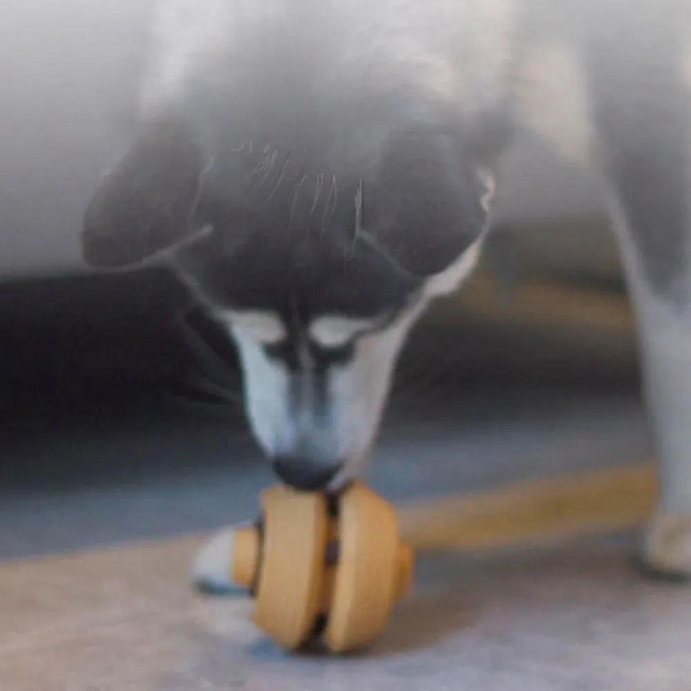 Bola dispensadora de golosinas para adiestramiento al aire libre para perros, juguete masticable duradero para limpieza de dientes, juguete molar interactivo para cachorros - imagen 4