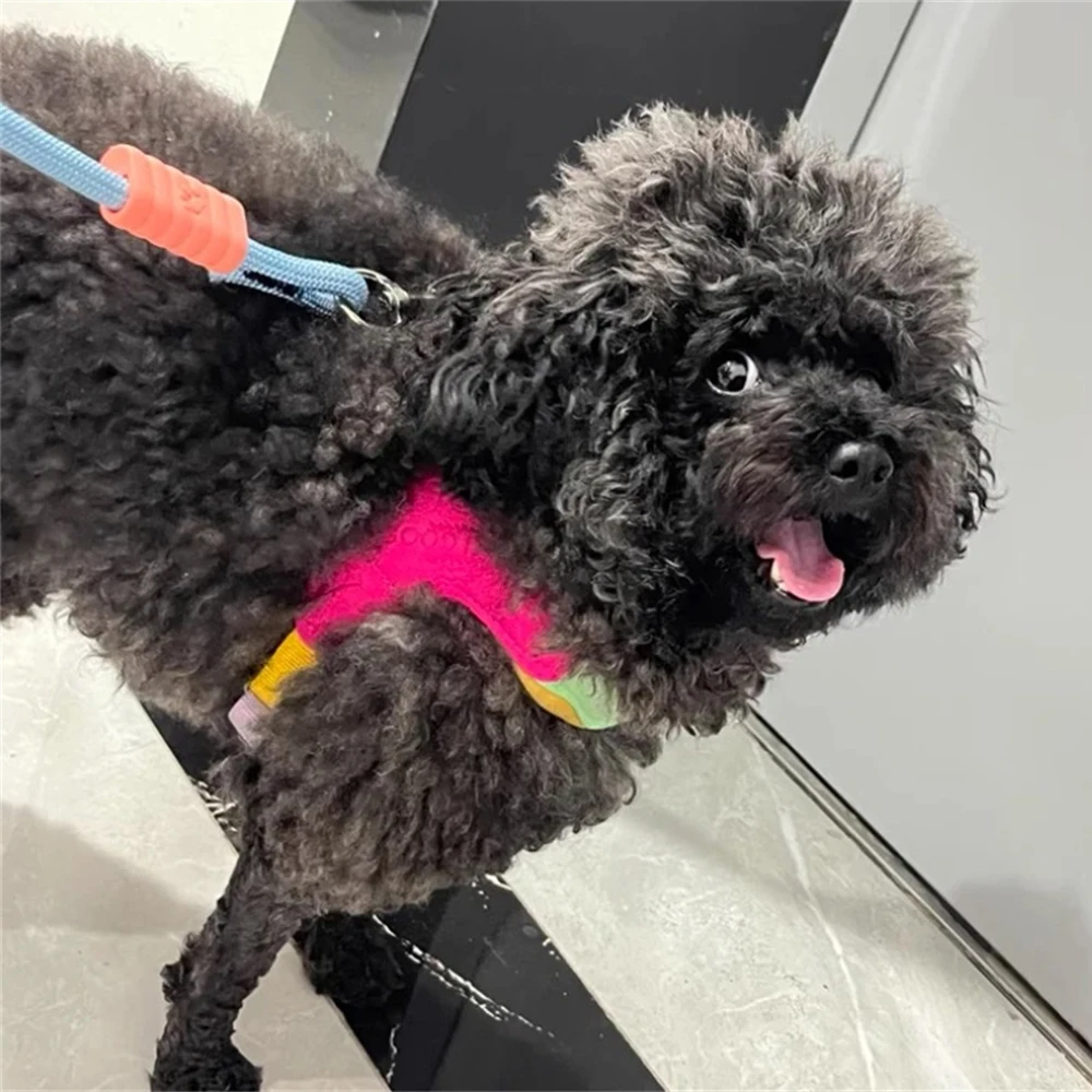 Arnés para perros sin tirones, chaleco para mascotas a la moda, arneses para perros pequeños y medianos, accesorios para mascotas, perro salchicha, caniche, Pomerania, Pug - imagen 5