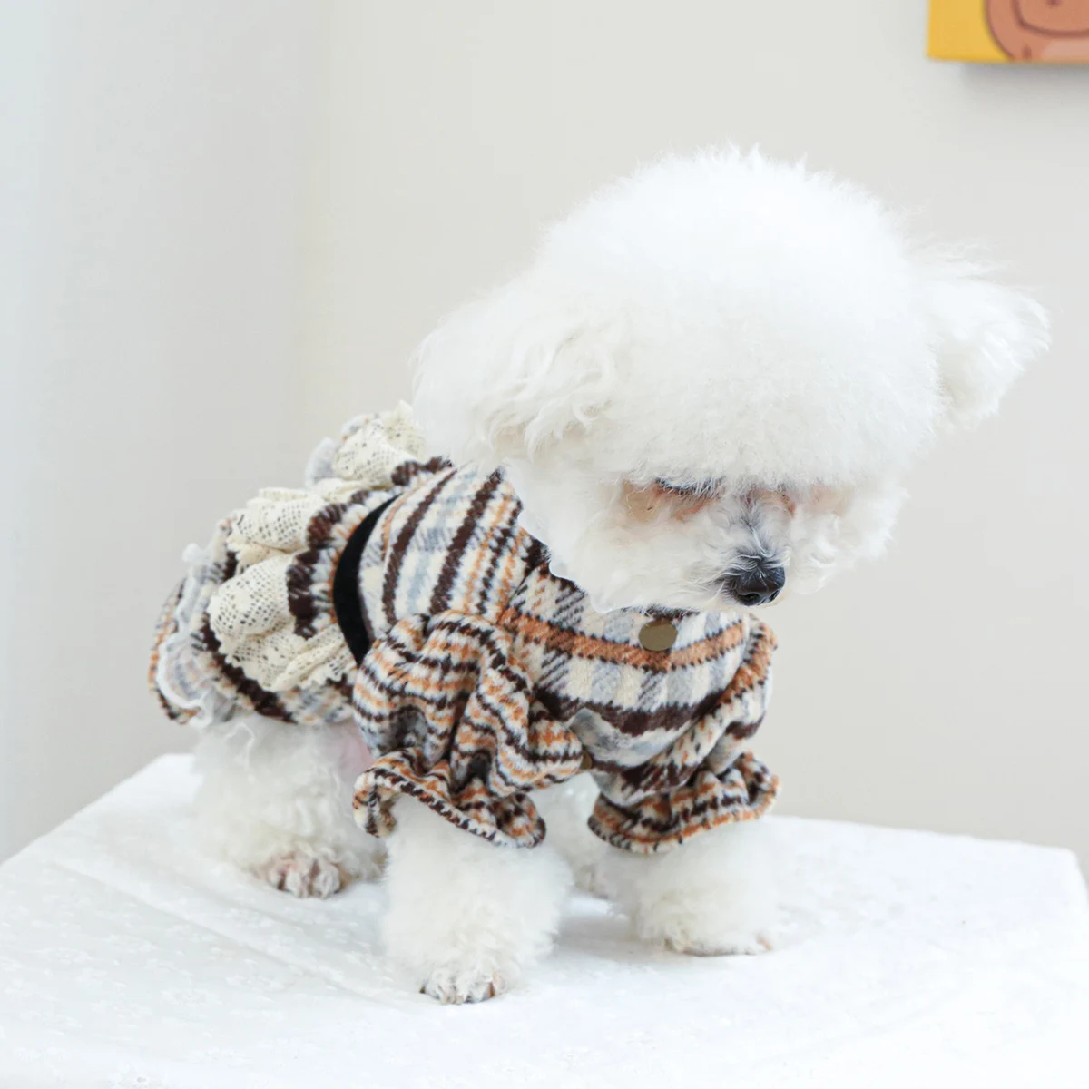 Ropa de moda para perro, vestido de princesa Vintage de encaje a rayas, ropa suave de invierno para perros pequeños, Chihuahua, Bichon para mascotas, nuevo - imagen 5