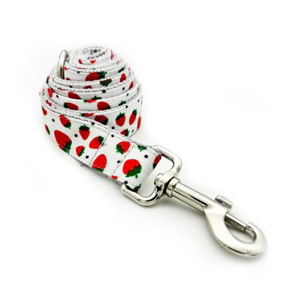 Collar personalizado para perro, Correa con placa de identificación, grabado gratis, fresa, cachorro - imagen 3