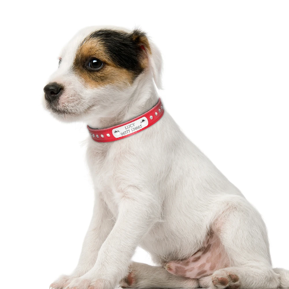 Collar personalizado de cuero para perro, accesorio para cachorro, gato, Chihuahua, Yorkies, color rosa - imagen 2