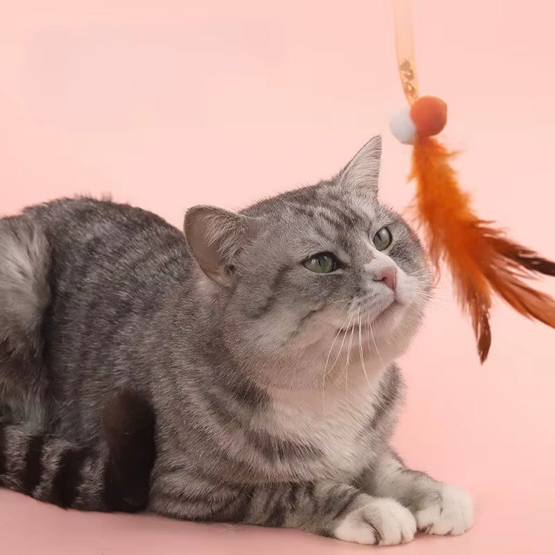 Juguetes interactivos para gatos, gatitos, con plumas y red elástica - imagen 5