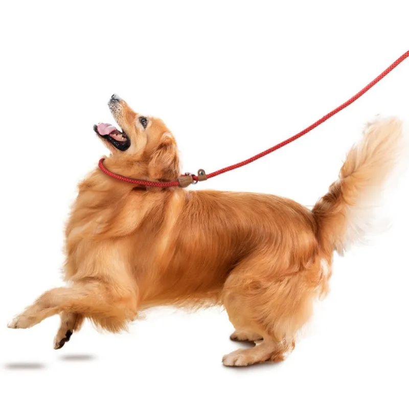 Correa para perro, Collar de cadena P, correas para perros, cadena antipérdida, Collar P-ropes para perros que caminan, correa para perros, cuerda de entrenamiento para cachorros, suministros para mascotas - imagen 2