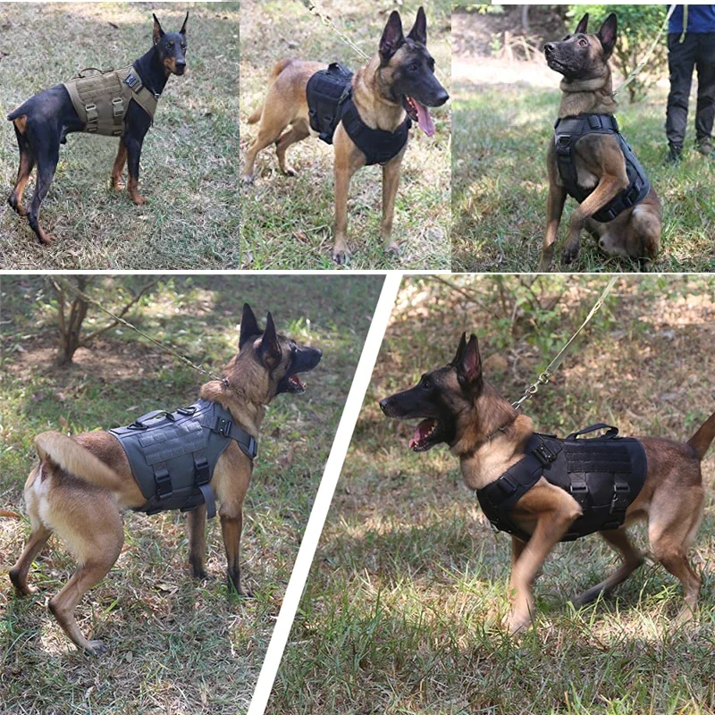 Chaleco Militar Táctico para Perros - Juego Arnés y Correa