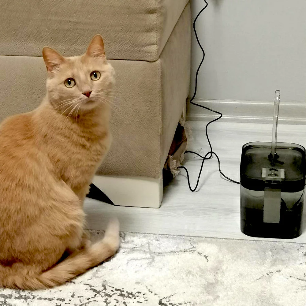 Fuente de agua para gatos con boquilla de grifo, dispensador de agua filtrado ultrasilencioso alimentado por USB para mascotas, agua circulante para gatos y perros pequeños - imagen 4