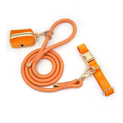 Collar y correa de terciopelo naranja para perro personalizable
