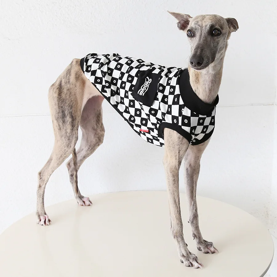 Chaleco primavera verano para galgo italiano y whippet perros medianos - imagen 2