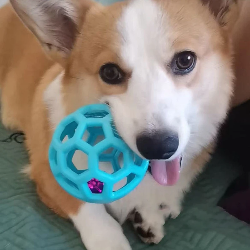 Bola hueca de juguete para perros con campana, juguete para masticar de goma Natural, pelotas interactivas para perros, entrenamiento para cachorros, limpieza de dientes, juguetes huecos - imagen 3