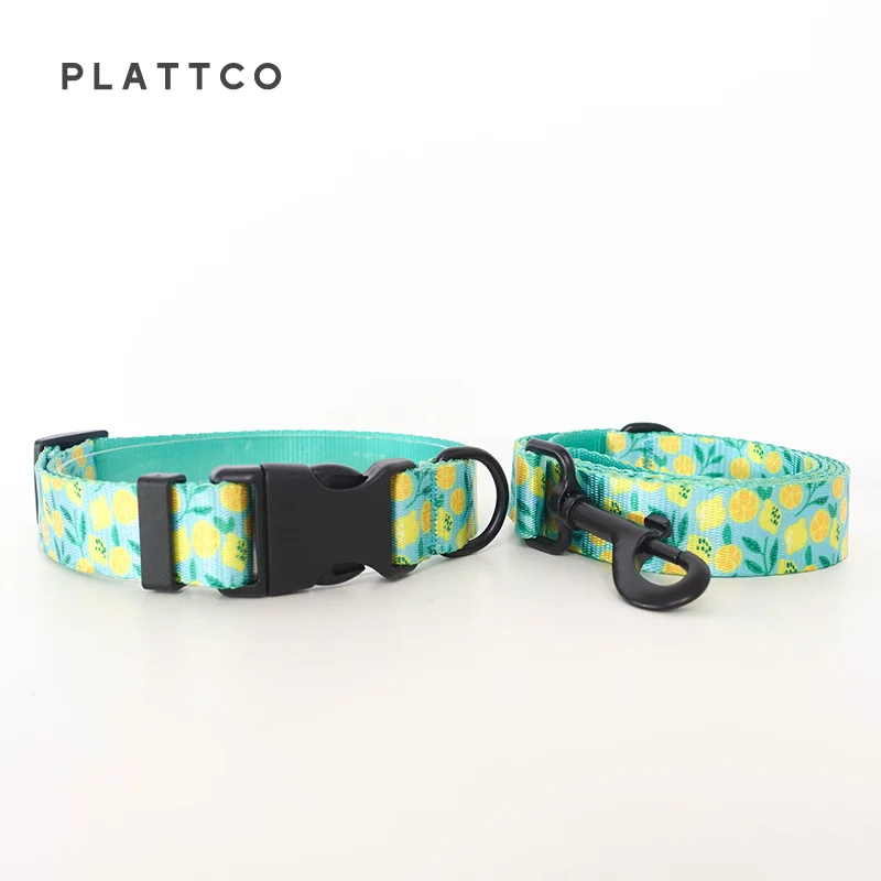 Dog Collar Leash Set