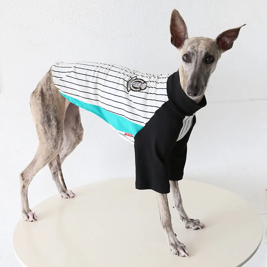 Camiseta algodón manga larga para galgo y whippet – Pijama perro - imagen 4