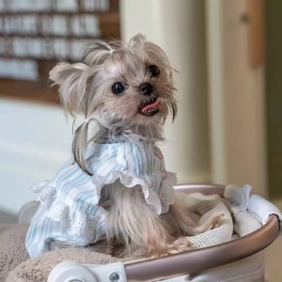 Vestido a rayas de primavera para gatos y perros pequeños - cómodo - imagen 3