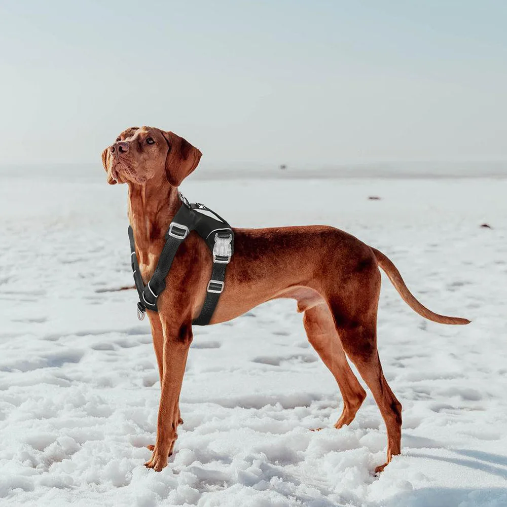 Nuevo Arnés para mascotas con mango Vertical, chaleco reflectante impermeable para perros - imagen 2