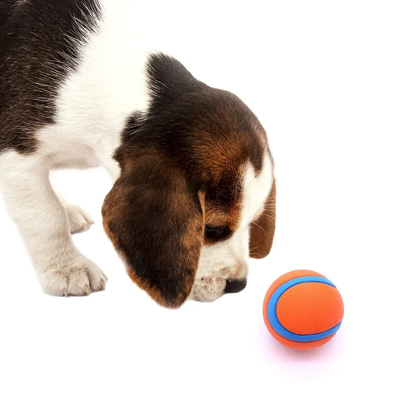 Pelota de goma hinchable para perros – Resistente a masticar y perfecta para lanzar - imagen 3
