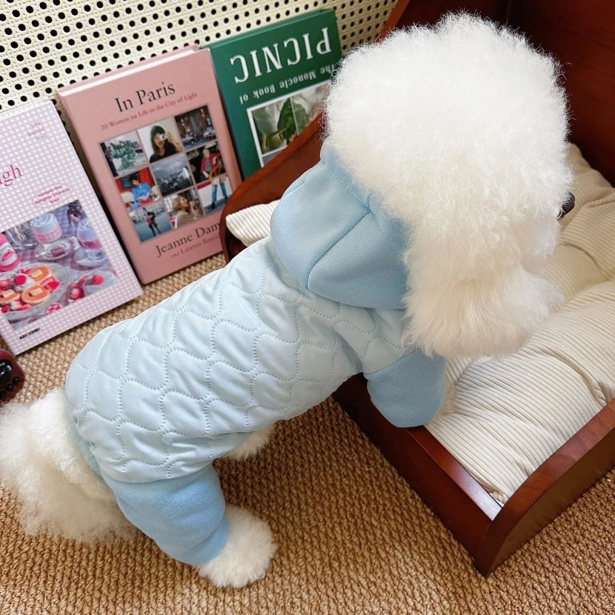 Lindos pantalones de cuatro patas con capucha para mascotas para otoño e invierno, gato de peluche para perros, ropa cálida de cuatro patas en comparación con el mono de oso