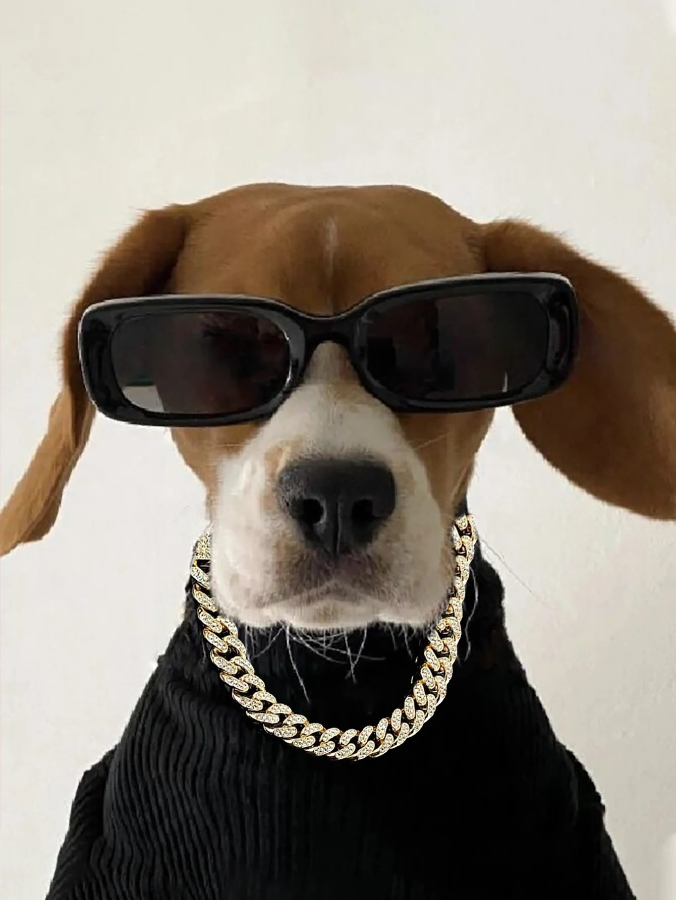 Collar de perro con tachuelas de diamantes con cadena de metal y diseño de hebilla de seguridad, collar de perro estilo punk personalizado, hip-hop