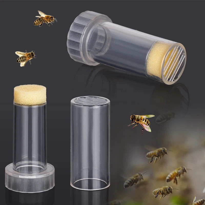 5/10 Uds. Estêmbolo de apicultura, herramienta receptora de botellas con etiqueta de abeja reina, suministros de apicultor con émbolo, herramientas marcadoras de abeja de felpa - imagen 4