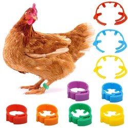 Anillos protectores para patas de gatos y perros mini – Talla S