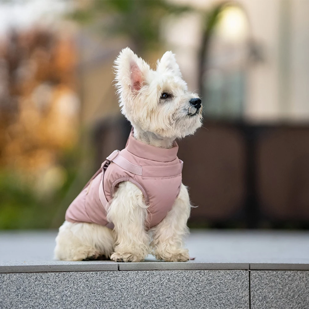 Ropa para mascotas de otoño e invierno, chaqueta para perros al aire libre con arnés para perros pequeños y medianos, ropa gruesa y cálida acolchada de algodón para mascotas - imagen 3