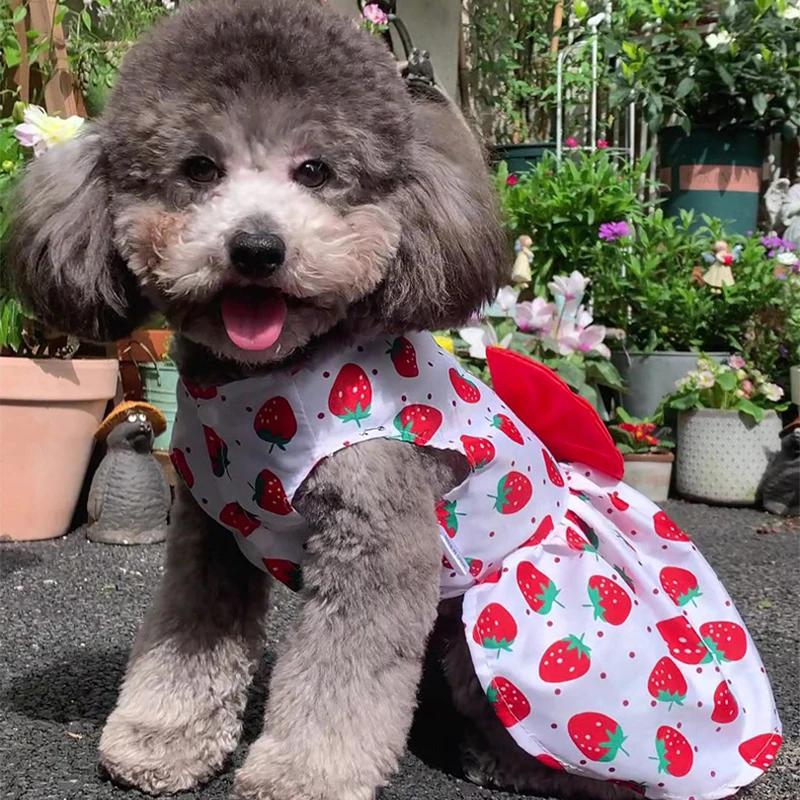 Vestido de princesa con flores para perro pequeño, ropa de peluche para gatito, falda fina de verano para cachorro, suministros para mascotas, novedad - imagen 4