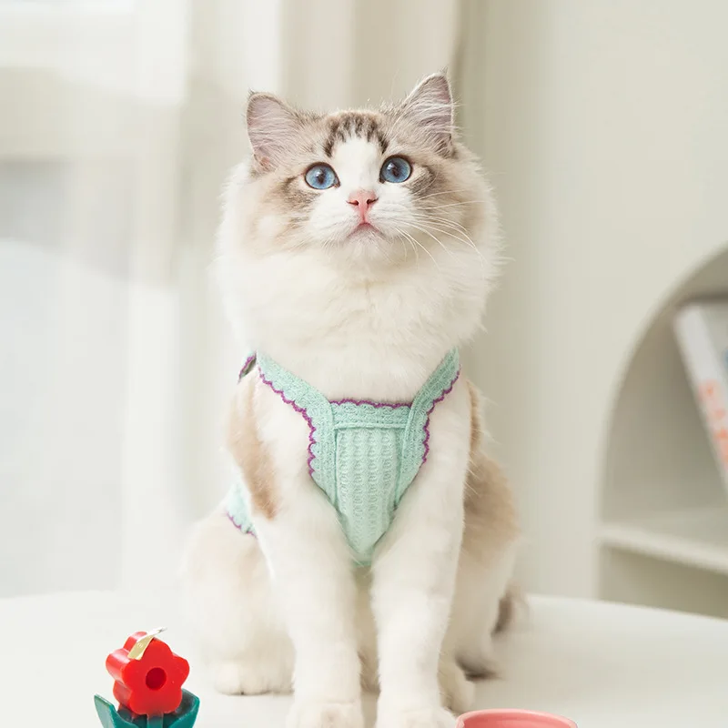 Camisola para perros pequeños, chaleco con tirantes para cachorros, ropa para mascotas, Yorkshire, Chihuahua, novedad de 2023 - imagen 4