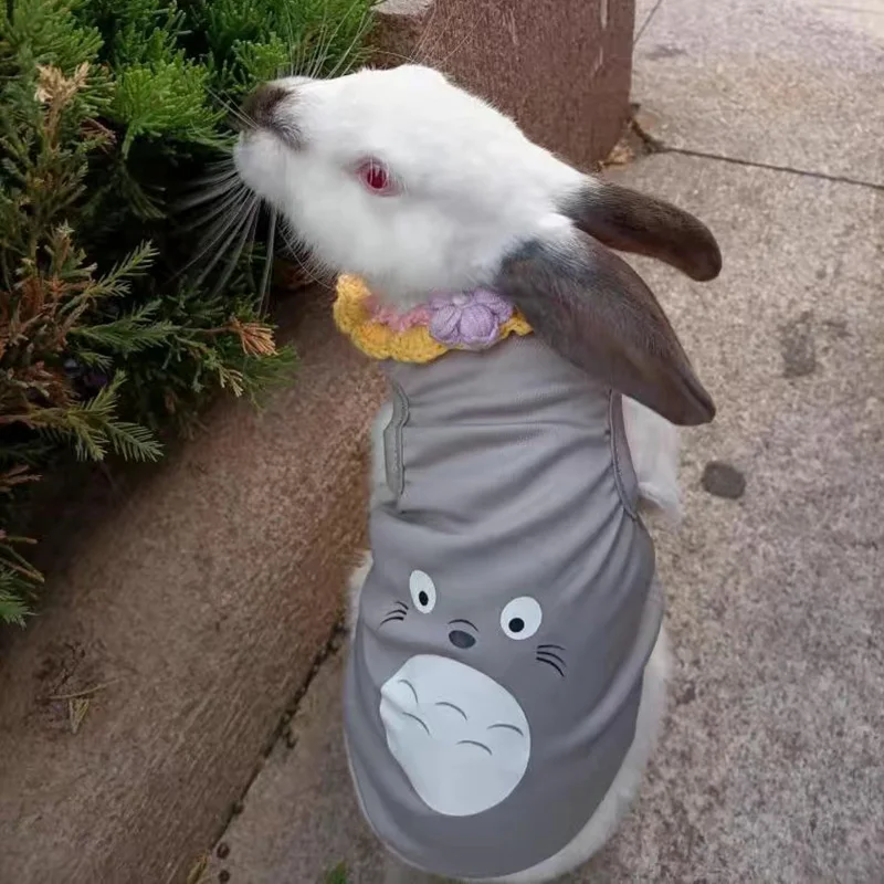 Chaleco para mascotas para gatos y conejos, ropa transpirable de verano para conejos, pelo antiadherente, ropa de conejito con estampado dulce, pijamas ubranko dla kota - imagen 2