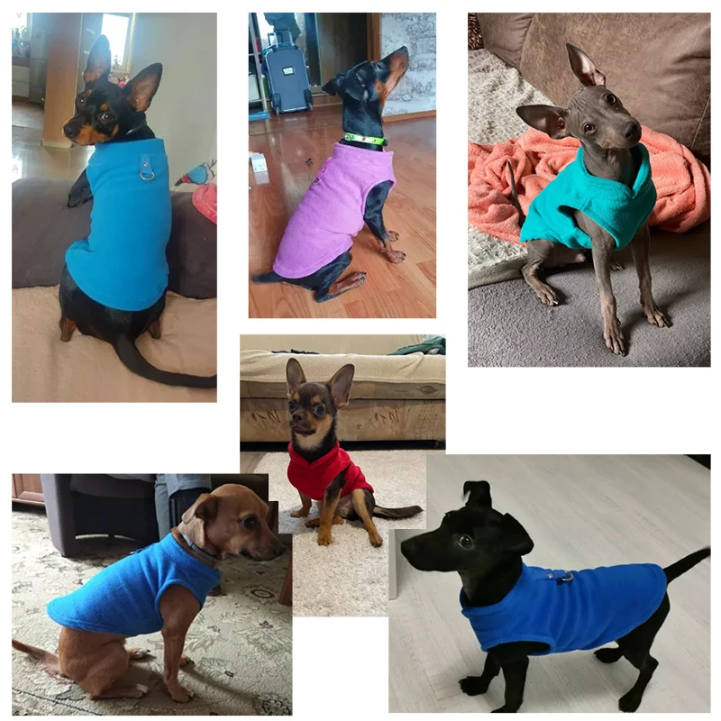 Ropa de Lana de Invierno para Perros con Chaleco Cálido para Cachorros y Razas Pequeñas - imagen 2