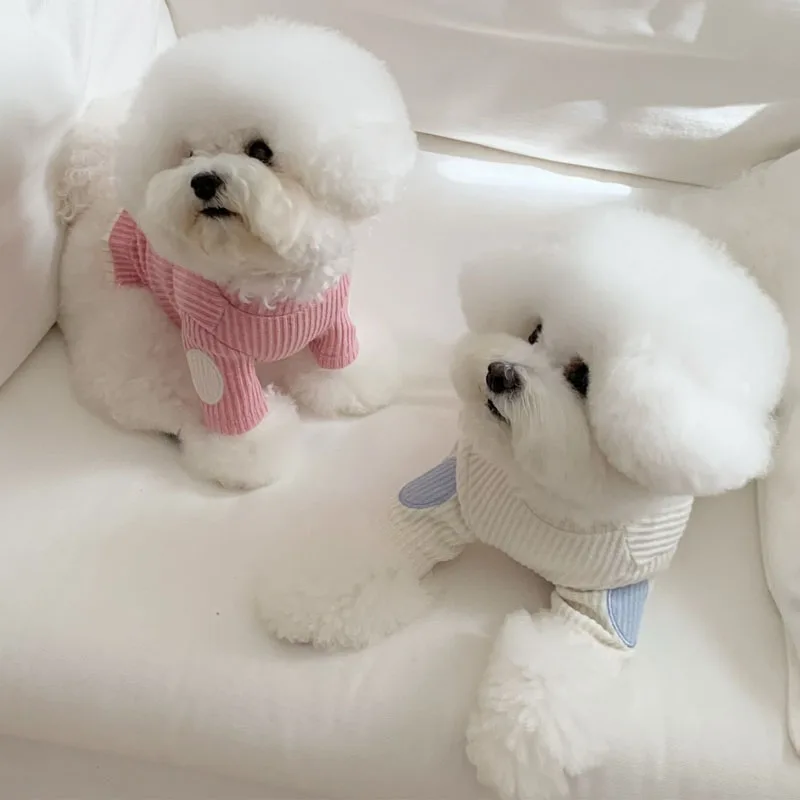 Suéter de punto para perros Shih Tzu y Dachshund - Cálido y suave - imagen 3