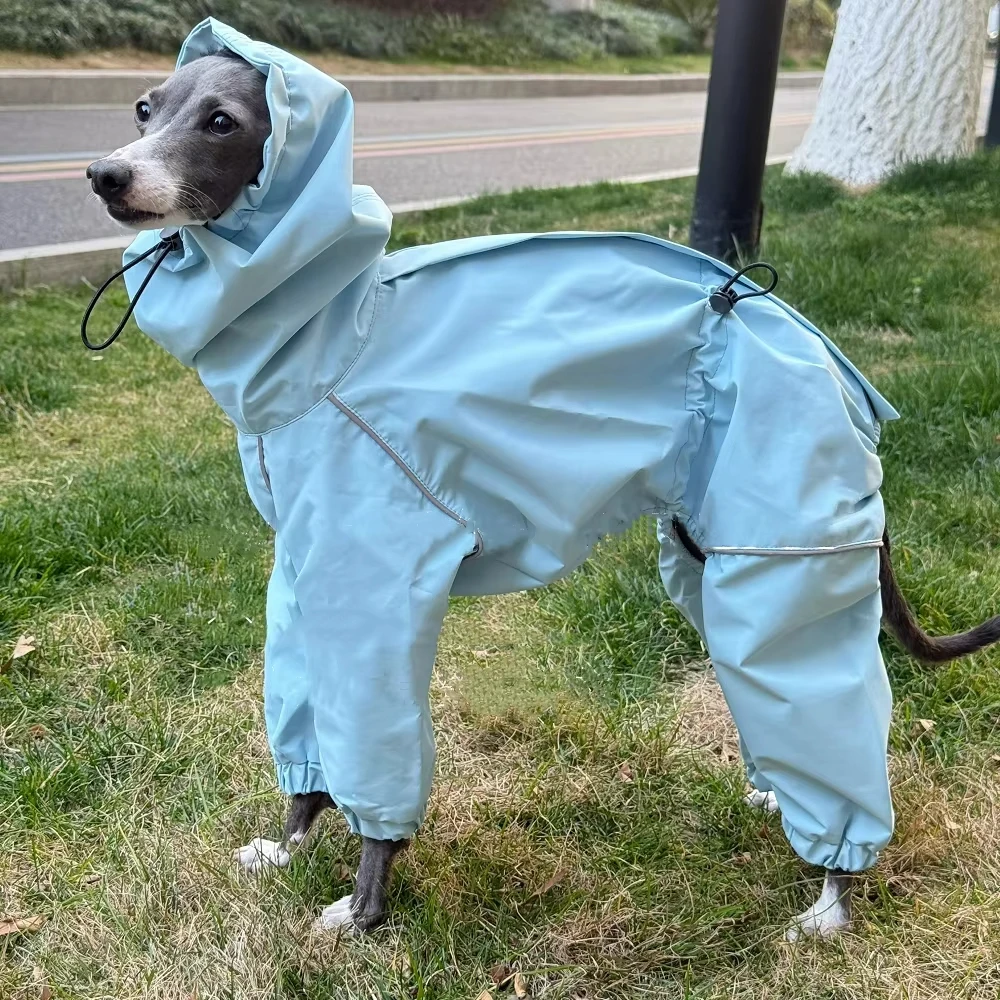 Chaqueta intercambiable Whipbit galgo impermeable roja a la moda impermeable para perros Bedlington de 4 patas a prueba de viento con tira reflectante - imagen 5