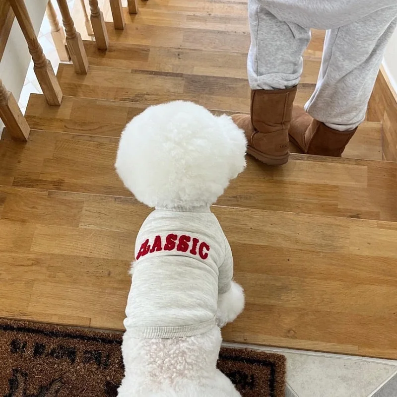 Abrigo de invierno para perros, ropa cálida para perros, sudaderas con capucha para cachorros, Chihuahua, Bulldog Francés, Bichon, Pug, ropa con letras sólidas, sudadera cálida para perros - imagen 5