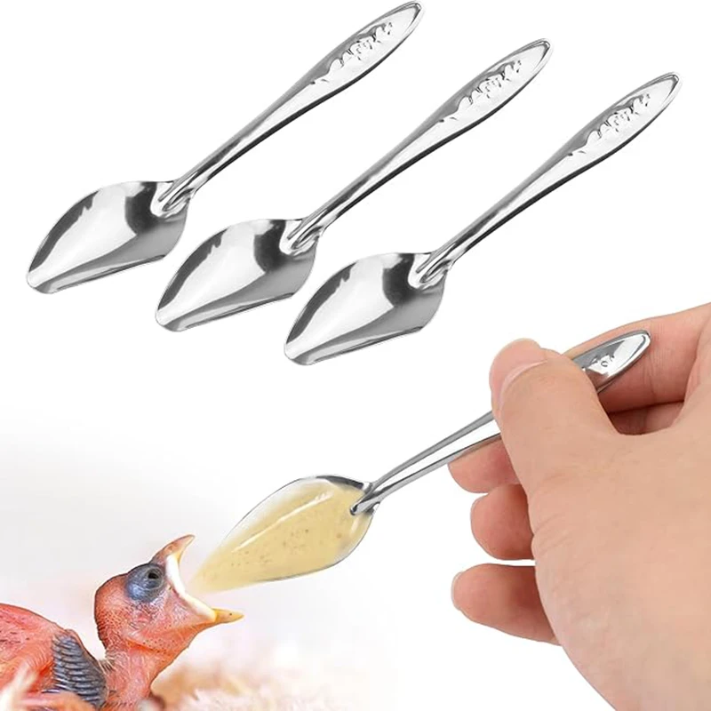 Cuchara de alimentación de Metal de acero inoxidable para loros, comedero para pájaros, cucharas de alimentación manual, 5 uds. - imagen 3