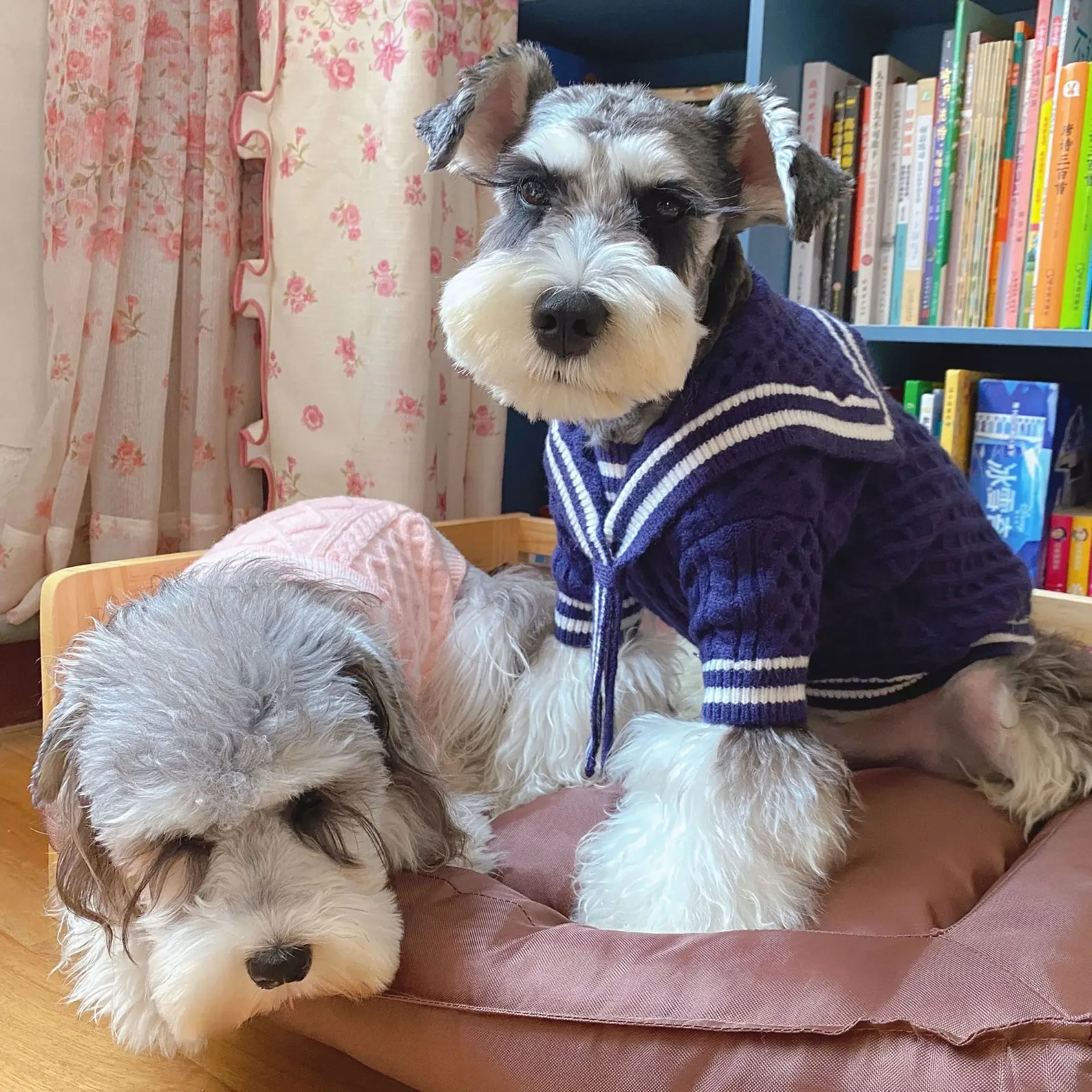 Suéter de estilo universitario para mascotas, abrigo de oso rubí nevado, ropa para cachorros, ropa para perros pequeños, Otoño e Invierno - imagen 5