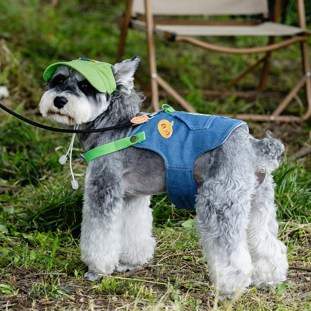 Chaleco de cuerda de plomo ajustable para perros y gatos, correa de plomo práctica para caminar al aire libre para primavera y verano, accesorios para mascotas y gatos pequeños - imagen 4