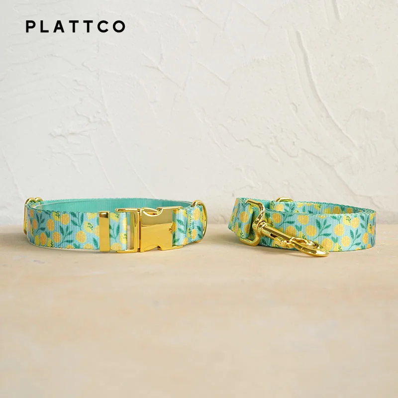 Dog Collar Leash Set