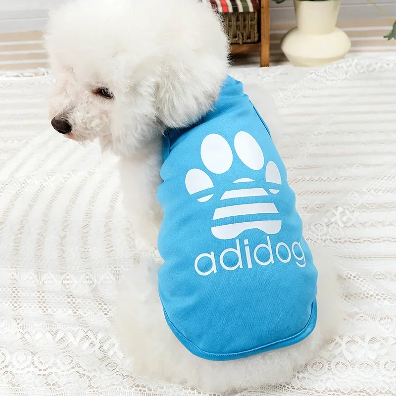 Ropa de Pomerania para perros pequeños, chaleco fino transpirable, camiseta fresca para mascotas, Verano - imagen 3