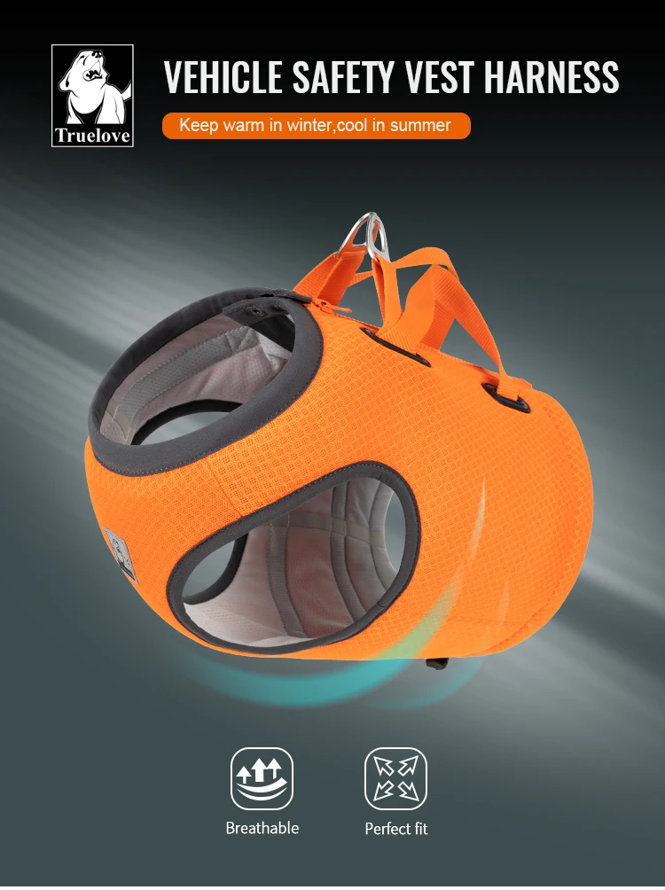 Chaleco Seguridad - Demostración de uso en vehículo