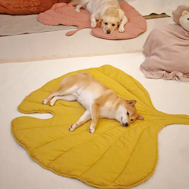 Alfombra Lavable para Mascotas con Hojas Grande - Gatos y Perros