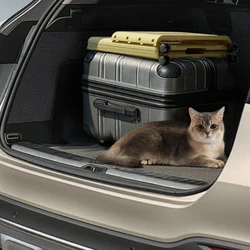 Transportín convertible en cochecito para gatos