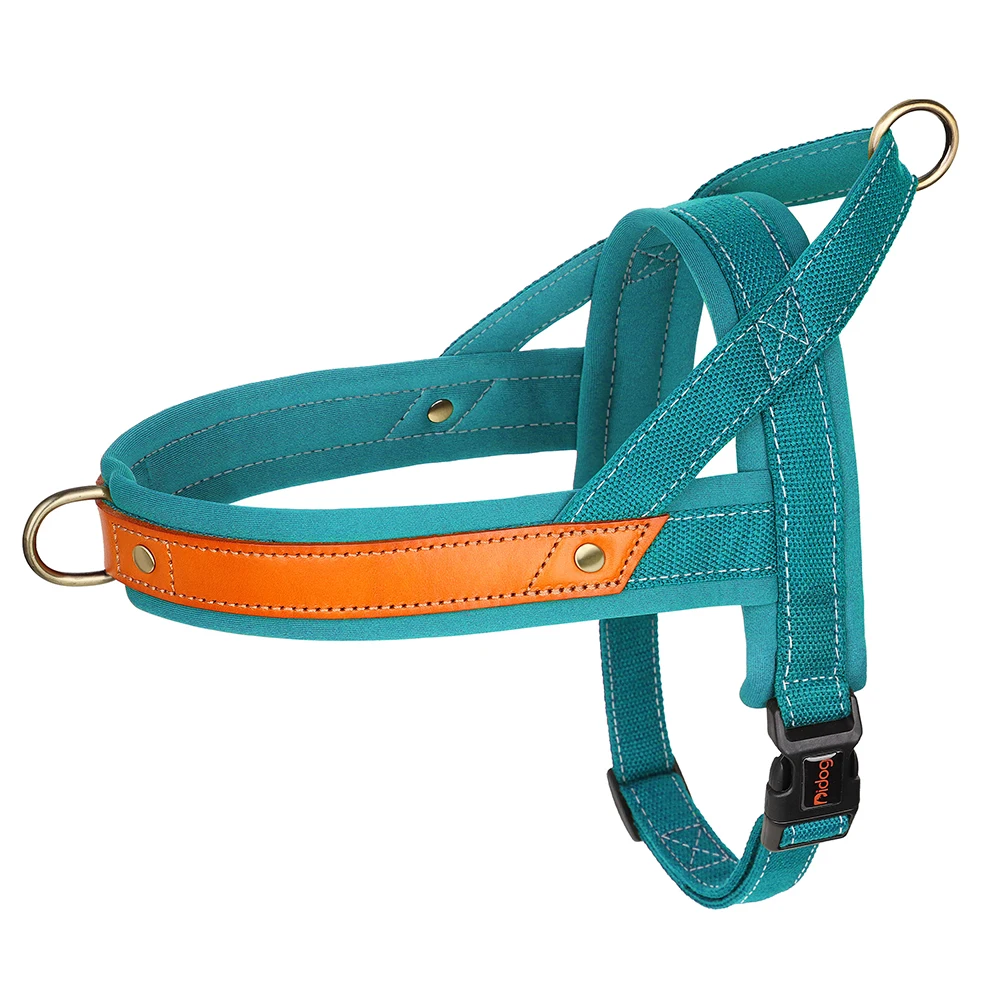 Blue Harness