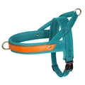 Blue Harness