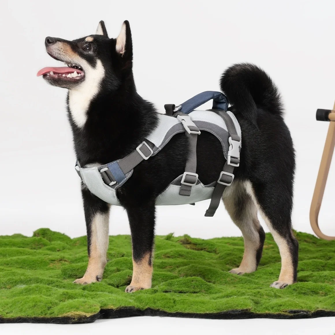 Arnés para perros con juego de correa, chaleco para perros fresco y transpirable con mango acolchado, arnés para caminar sin tirar para perros con correa azul - imagen 2