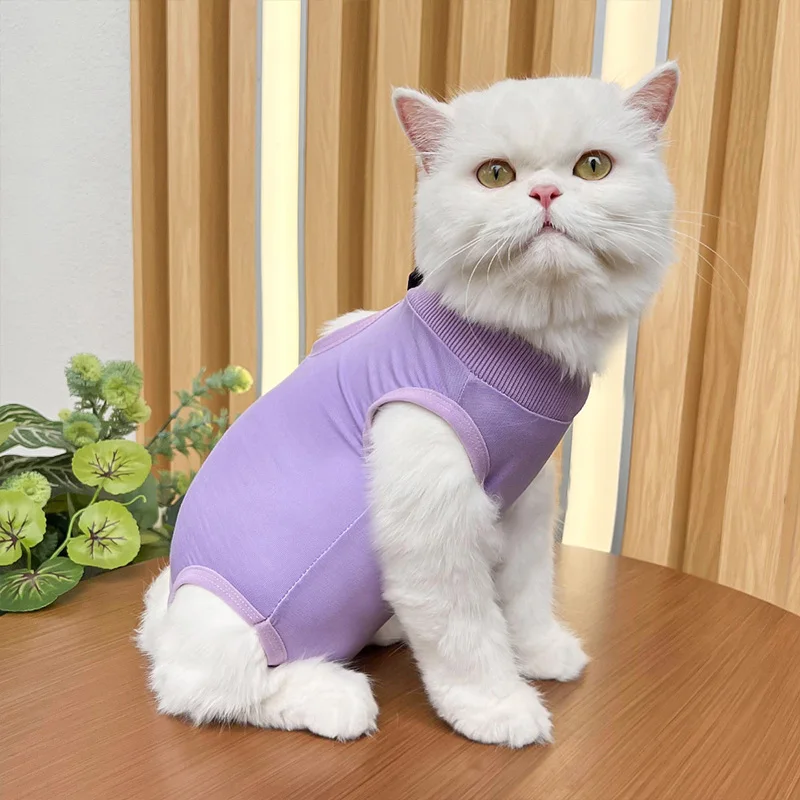 Traje de recuperación profesional para gatos, traje neutro antilamer para gatos, ropa de recuperación transpirable para mascotas, suministros para gatos y gatitos - imagen 3