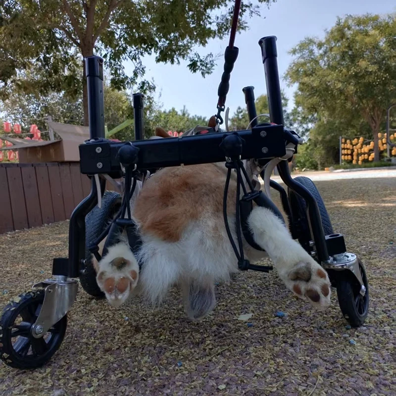 Silla de ruedas para perro de rehabilitación patas traseras ajustable - imagen 3