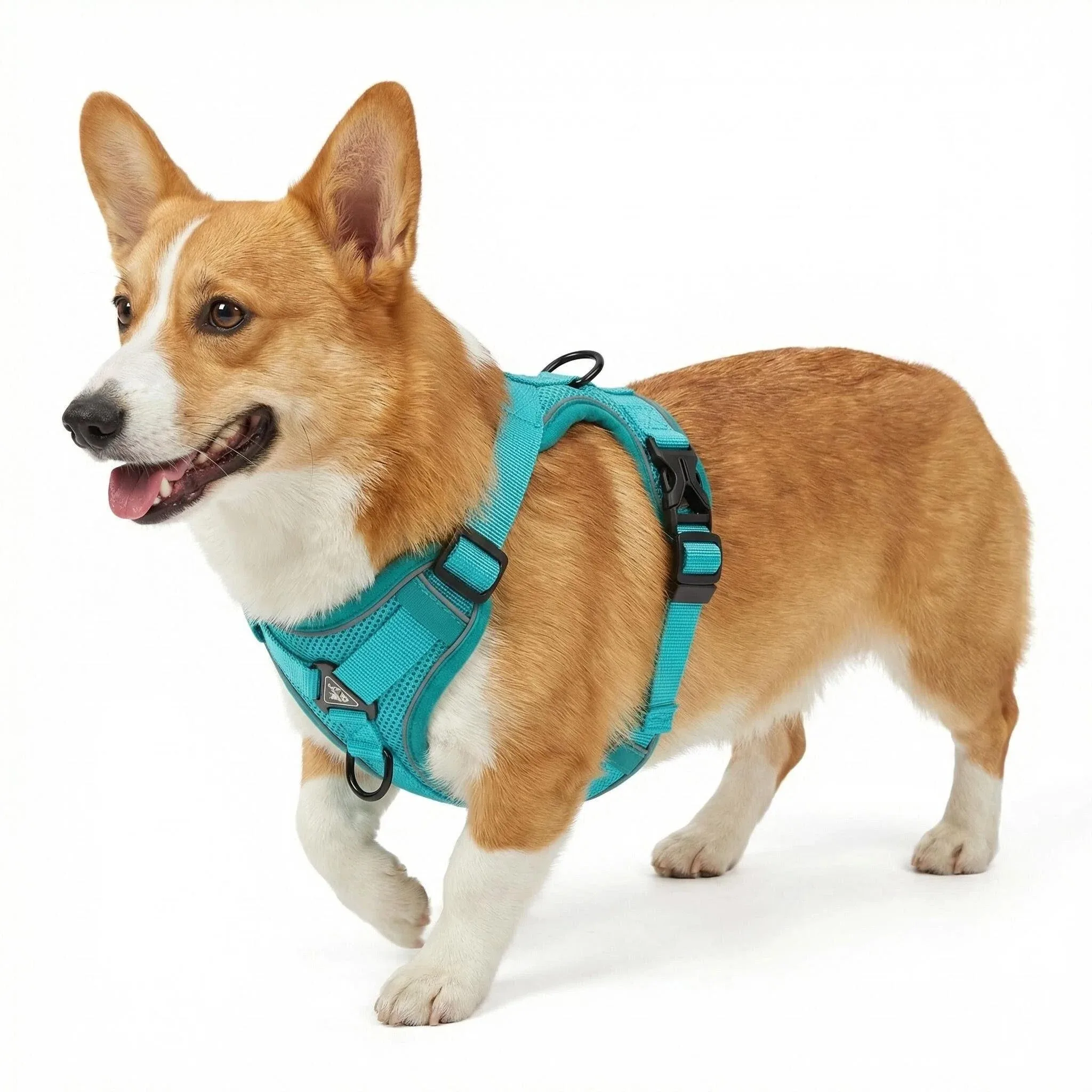 Arnés y correa para gatos – Set completo de paseo ajustable - imagen 5