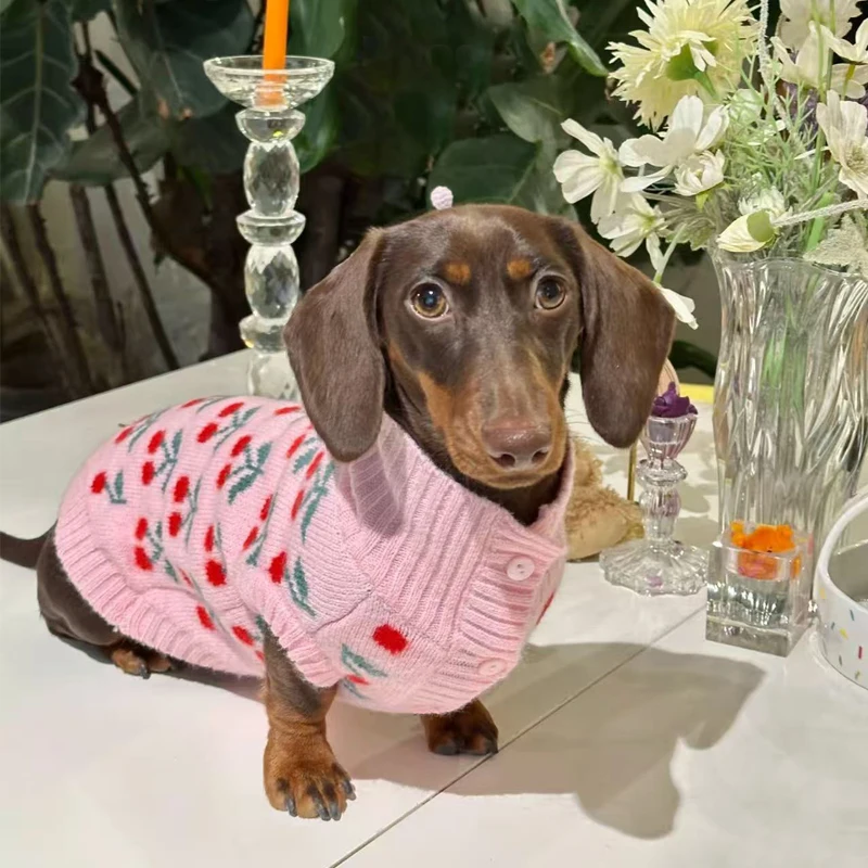 Ropa dulce para perros salchicha en invierno, suéter Floral rosa para perros Wiener femeninos, abrigo cálido de manga corta para perros tejón - imagen 2