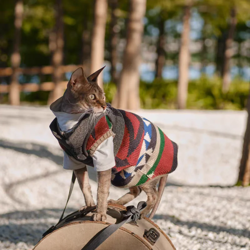 Abrigo de punto de Navidad para gato, ropa de salón para gato Sphynx, chaleco de suéter británico clásico de invierno, suministros para gatos de vacaciones - imagen 5