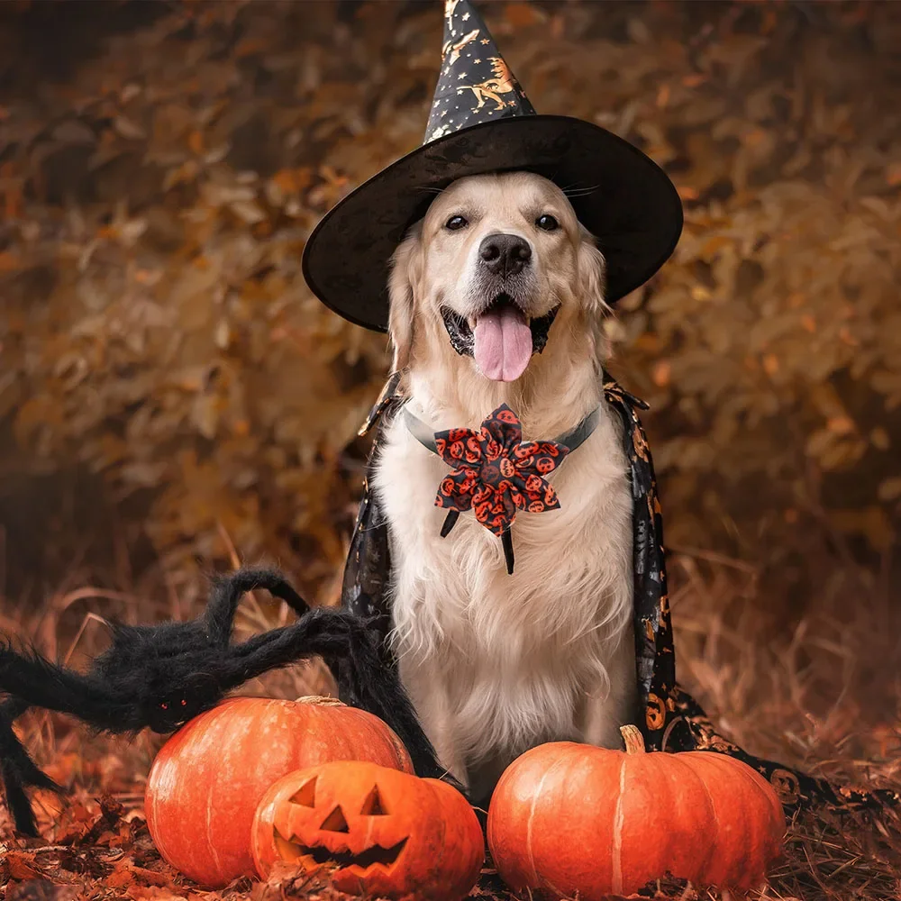 50 Uds pajaritas para perro para Halloween accesorios de Collar de perro extraíbles cráneo pajarita para mascotas corbatas para perros pequeños accesorios de aseo