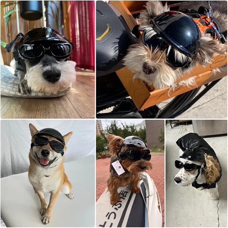 Conjuntos de casco y gafas de sol para perros de razas pequeñas, casco de motocicleta con orificios para las orejas, lindas gafas para perros para conducir al aire libre - imagen 4