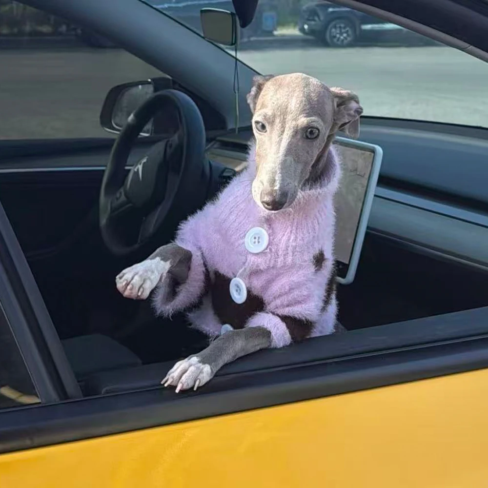 Sueter calido cafe-rosa para perros pequenos y medianos (Whippet) - imagen 5