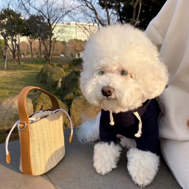 Sudadera con capucha para perro Ins, moda de invierno, abrigo cálido para pies de perro y gato, Top de algodón sólido, ropa para cachorros de diseño lujoso a la moda para perros grandes - imagen 3