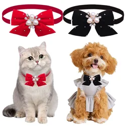 Corbatas de Moño para Perros y Collares para Gatos – Pack de 30